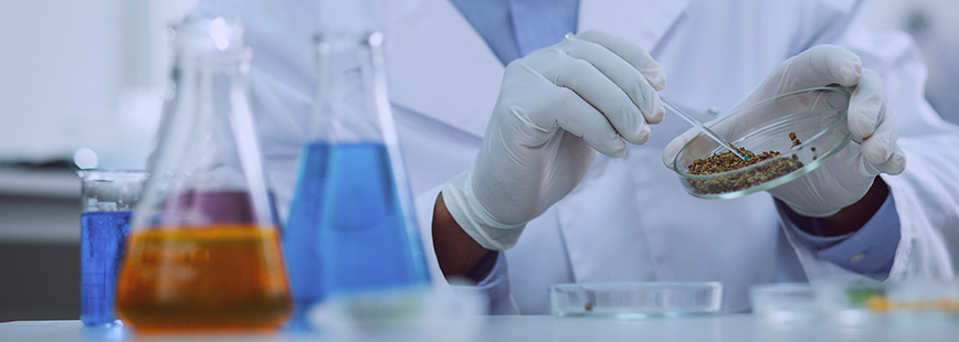 Laboratory work